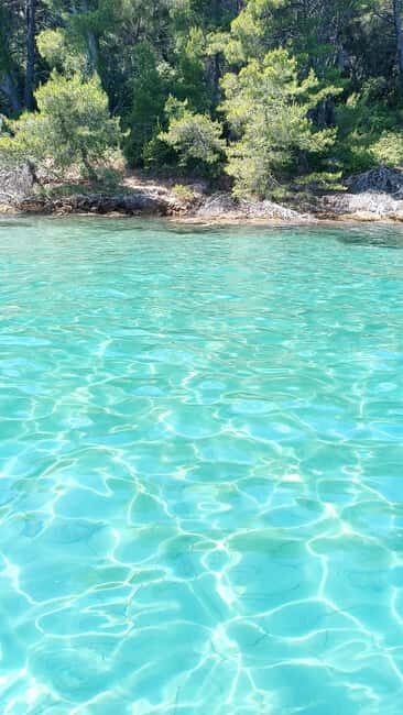Zadar: Three Islands Private Boat Tour - What you’re really paying for: homemade anchovies in olive oil