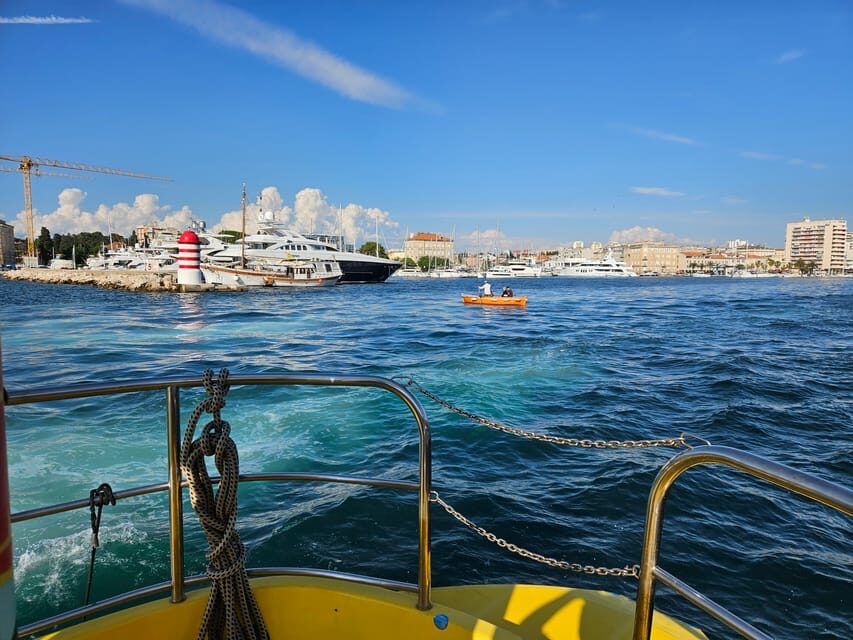 Zadar: Yellow Semi-Submarine Underwater Exploration Tour - What you’ll actually see: marine life without the long wait